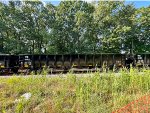 WE 9192 is new to rrpa.
